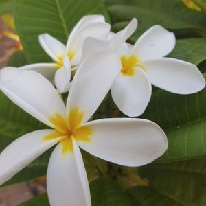 Meet your Posher, Donita